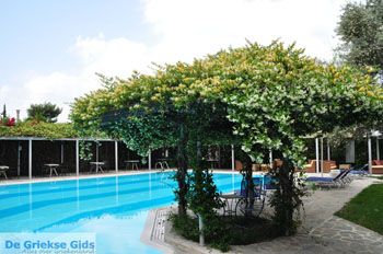 Hotel Sunrise Eretria | Evia Griekenland - foto 002 - Foto van https://www.grieksegids.nl/fotos/evia/mid/evia-grieksegids-164.jpg