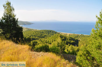 GriechenlandWeb Noordoostkust Evia | Griechenland | Foto 1 - Foto GriechenlandWeb.de