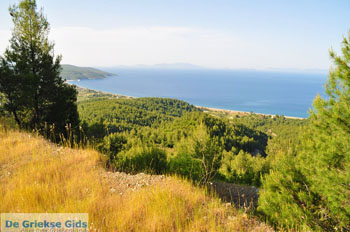 Noordoostkust Evia | Griekenland | Foto 2 - Foto van De Griekse Gids
