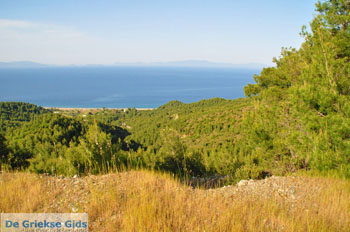 Noordoostkust Evia | Griekenland | Foto 3 - Foto van De Griekse Gids
