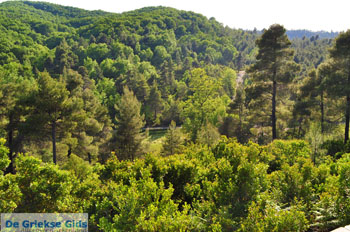 Noordoostkust Evia | Griekenland | Foto 4 - Foto van De Griekse Gids
