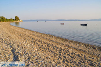 Rovies Noord-Evia | Griekenland 4 - Foto van De Griekse Gids