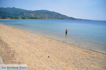 GriechenlandWeb Aedipsos Euboea - Foto GriechenlandWeb.de