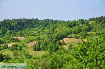 Mooie Natuur Noord-Evia | Griekenland 8 - Foto van De Griekse Gids