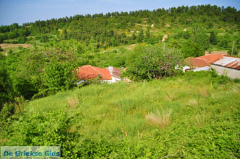 Mooie Natuur Noord-Evia | Griekenland 12 - Foto van De Griekse Gids