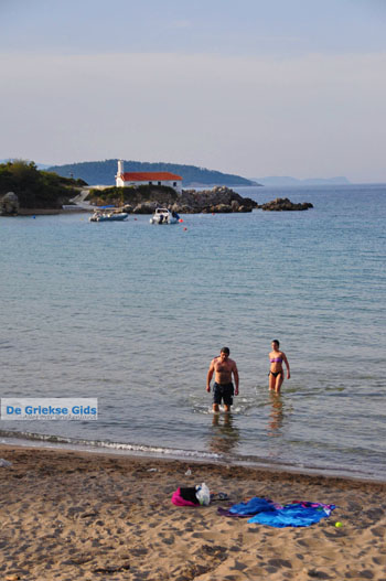 Aghios Nikolaos bij Ellinika | Noord-Evia | De Griekse Gids foto 3 - Foto van De Griekse Gids