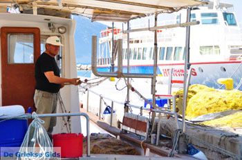 Orei (Oreoi) ) Noord-Evia Griekenland | Foto 3 - Foto van https://www.grieksegids.nl/fotos/evia/noord-evia/normaal/noord-evia-grieksegids-043.jpg