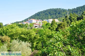 Ellinika Noord-Evia | Griekenland 5 - Foto van https://www.grieksegids.nl/fotos/evia/noord-evia/normaal/noord-evia-grieksegids-068.jpg