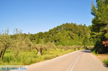 Ellinika Noord-Evia | Griekenland 8 - Foto van https://www.grieksegids.nl/fotos/evia/noord-evia/normaal/noord-evia-grieksegids-071.jpg