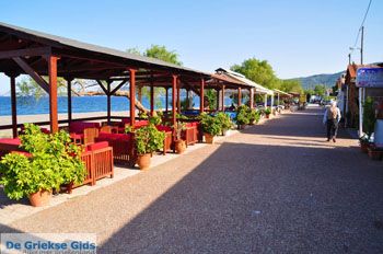 Psaropouli en Vassilika | Noord-Evia Griekenland | Foto 8 - Foto van https://www.grieksegids.nl/fotos/evia/noord-evia/normaal/noord-evia-grieksegids-079.jpg