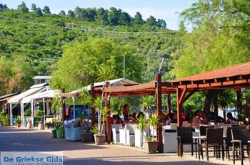 Psaropouli en Vassilika | Noord-Evia Griekenland | Foto 15 - Foto van https://www.grieksegids.nl/fotos/evia/noord-evia/normaal/noord-evia-grieksegids-086.jpg