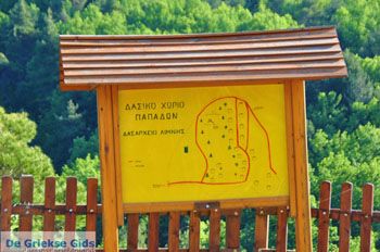 Papades Noord-Evia | Griekenland 3 - Foto van https://www.grieksegids.nl/fotos/evia/noord-evia/normaal/noord-evia-grieksegids-095.jpg