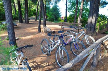 Papades Noord-Evia | Griekenland 8 - Foto van https://www.grieksegids.nl/fotos/evia/noord-evia/normaal/noord-evia-grieksegids-100.jpg