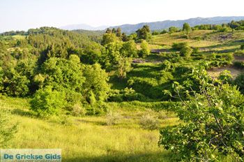 Papades Noord-Evia | Griekenland 14 - Foto van https://www.grieksegids.nl/fotos/evia/noord-evia/normaal/noord-evia-grieksegids-106.jpg