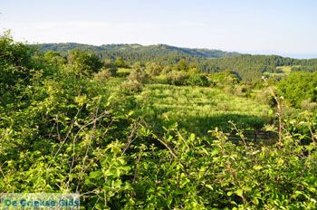 Agia Anna Noord-Evia | Griekenland 2 - Foto van https://www.grieksegids.nl/fotos/evia/noord-evia/normaal/noord-evia-grieksegids-108.jpg