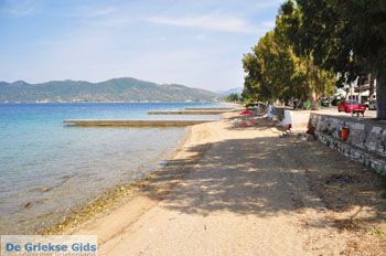 Rovies Noord-Evia | Griekenland 6 - Foto van https://www.grieksegids.nl/fotos/evia/noord-evia/normaal/noord-evia-grieksegids-122.jpg