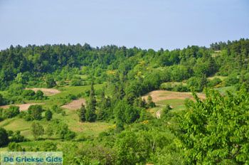 Mooie Natuur Noord-Evia | Griekenland 8 - Foto van https://www.grieksegids.nl/fotos/evia/noord-evia/normaal/noord-evia-grieksegids-143.jpg