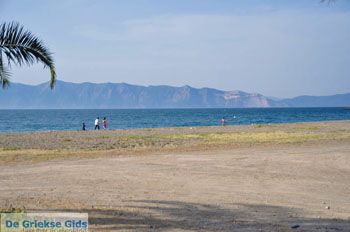 Pefki | Noord-Evia Griekenland 2 - Foto van https://www.grieksegids.nl/fotos/evia/noord-evia/normaal/noord-evia-grieksegids-150.jpg