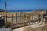 Foto Folegandros Kykladen GriechenlandWeb.de - Foto GriechenlandWeb.de