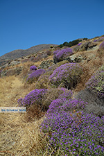 Foto Folegandros Kykladen GriechenlandWeb.de - Foto GriechenlandWeb.de