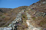 Folegandros - Eiland Folegandros - Cycladen - Foto 192 - Foto van De Griekse Gids