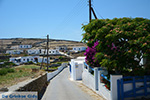 Ano Meria Folegandros - Eiland Folegandros - Cycladen - Foto 198 - Foto van De Griekse Gids