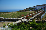 Ano Meria Folegandros - Eiland Folegandros - Cycladen - Foto 203 - Foto van De Griekse Gids