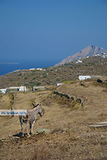 Foto Folegandros Kykladen GriechenlandWeb.de - Foto GriechenlandWeb.de