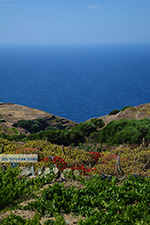 GriechenlandWeb Ano Meria Folegandros - Insel Folegandros - Kykladen - Foto 232 - Foto GriechenlandWeb.de