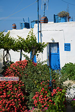 GriechenlandWeb.de Ano Meria Folegandros - Foto GriechenlandWeb.de