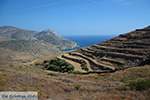 GriechenlandWeb Ano Meria Folegandros - Insel Folegandros - Kykladen - Foto 239 - Foto GriechenlandWeb.de