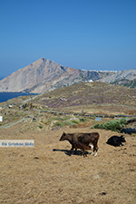 Ano Meria Folegandros - Eiland Folegandros - Cycladen - Foto 242 - Foto van De Griekse Gids