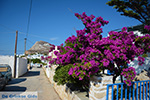 Chora Folegandros - Eiland Folegandros - Cycladen - Foto 266 - Foto van De Griekse Gids