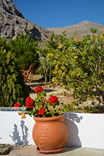 Hotel Aegean Star Karavostasis Folegandros - Cycladen - Foto 299 - Foto van De Griekse Gids