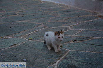 Chora Folegandros - Eiland Folegandros - Cycladen - Foto 13 - Foto van https://www.grieksegids.nl/fotos/folegandros/350/eiland-folegandros-013.jpg