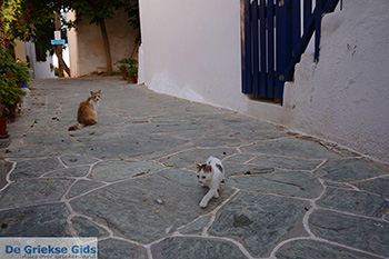 Chora Folegandros - Eiland Folegandros - Cycladen - Foto 14 - Foto van https://www.grieksegids.nl/fotos/folegandros/350/eiland-folegandros-014.jpg