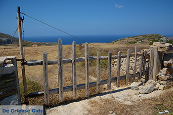 Eiland Folegandros - Cycladen - Foto 114 - Foto van https://www.grieksegids.nl/fotos/folegandros/350/eiland-folegandros-114.jpg