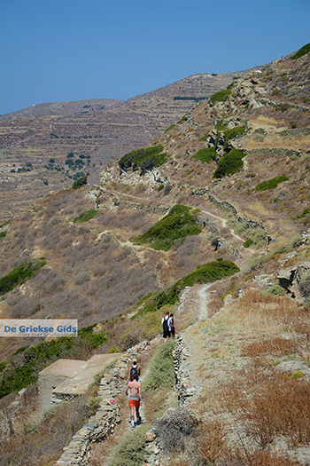 Wandelen naar Angali Folegandros - Eiland Folegandros - Cycladen - Foto 119 - Foto van https://www.grieksegids.nl/fotos/folegandros/350/eiland-folegandros-119.jpg