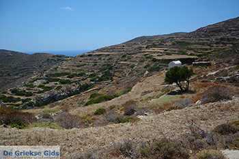 Folegandros - Eiland Folegandros - Cycladen - Foto 189 - Foto van https://www.grieksegids.nl/fotos/folegandros/350/eiland-folegandros-189.jpg