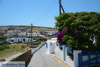 Ano Meria Folegandros - Eiland Folegandros - Cycladen - Foto 198 - Foto van https://www.grieksegids.nl/fotos/folegandros/350/eiland-folegandros-198.jpg