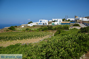 Ano Meria Folegandros - Eiland Folegandros - Cycladen - Foto 209 - Foto van https://www.grieksegids.nl/fotos/folegandros/350/eiland-folegandros-209.jpg