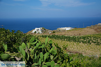 Ano Meria Folegandros - Eiland Folegandros - Cycladen - Foto 220 - Foto van https://www.grieksegids.nl/fotos/folegandros/350/eiland-folegandros-220.jpg
