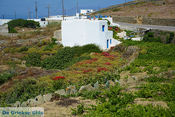 Ano Meria Folegandros - Eiland Folegandros - Cycladen - Foto 230 - Foto van https://www.grieksegids.nl/fotos/folegandros/350/eiland-folegandros-230.jpg
