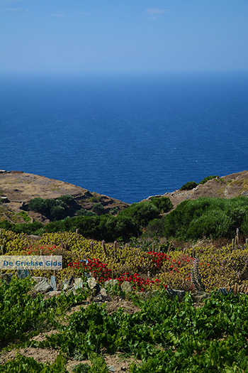 Ano Meria Folegandros - Eiland Folegandros - Cycladen - Foto 232 - Foto van https://www.grieksegids.nl/fotos/folegandros/350/eiland-folegandros-232.jpg