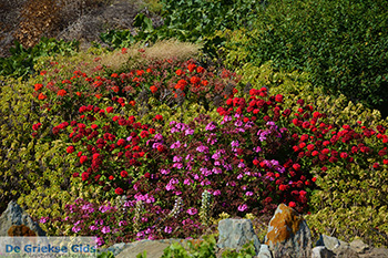Ano Meria Folegandros - Eiland Folegandros - Cycladen - Foto 234 - Foto van https://www.grieksegids.nl/fotos/folegandros/350/eiland-folegandros-234.jpg