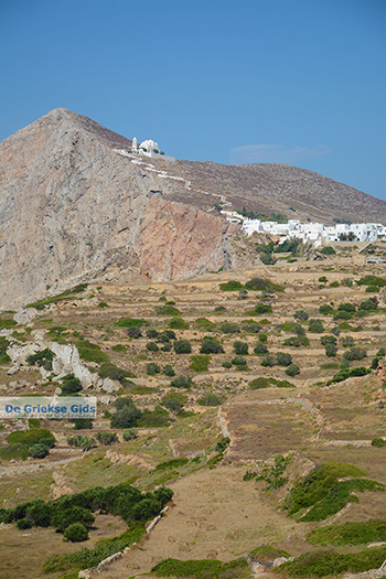 Folegandros - Eiland Folegandros - Cycladen - Foto 259 - Foto van https://www.grieksegids.nl/fotos/folegandros/350/eiland-folegandros-259.jpg