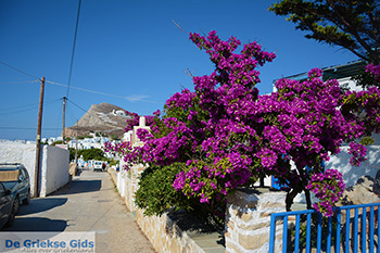 Chora Folegandros - Eiland Folegandros - Cycladen - Foto 266 - Foto van https://www.grieksegids.nl/fotos/folegandros/350/eiland-folegandros-266.jpg