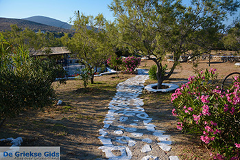Livadi Folegandros - Eiland Folegandros - Cycladen - Foto 276 - Foto van https://www.grieksegids.nl/fotos/folegandros/350/eiland-folegandros-276.jpg