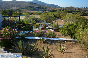 Livadi Folegandros - Eiland Folegandros - Cycladen - Foto 279 - Foto van https://www.grieksegids.nl/fotos/folegandros/350/eiland-folegandros-279.jpg