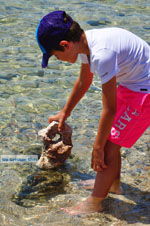 GriechenlandWeb Balos - Gramvoussa Chania Kreta - Foto GriechenlandWeb.de